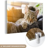 MuchoWow® Glasschilderij 30x20 cm - Schilderij acrylglas - Kat - Mand - Kleed - Foto op glas - Schilderijen
