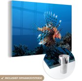 MuchoWow® Glasschilderij 30x20 cm - Schilderij acrylglas - Water - Vis - Koraalduivel - Foto op glas - Schilderijen