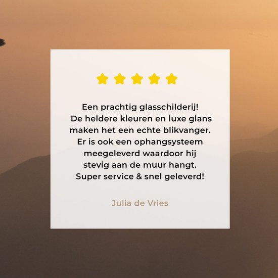 MuchoWow® Peinture sur verre 160x120 cm - Peinture sur verre acrylique - Pygargue à queue blanche - Voler - Nature - Soleil - Lumière - Vogels - Photo sur verre - Peintures