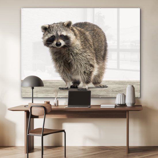 MuchoWow® Peinture sur verre 160x120 cm - Peinture sur verre acrylique - Raton laveur - Animaux - fond blanc - Garçons - Filles - Enfants - Photo sur verre - Peintures