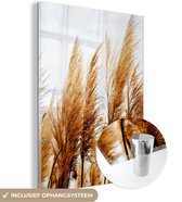 MuchoWow® Peinture sur verre 30x40 cm - Peinture sur verre acrylique - Herbe de la pampa - Soleil - Herbe - Photo sur verre - Peintures
