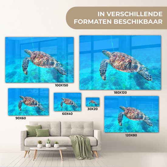 MuchoWow® Peinture sur Verre - Tortue - Mer - Blauw - 180x120 cm - Peintures sur Verre Acrylique - Photo sur Glas