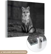 MuchoWow® Glasschilderij 160x120 cm - Schilderij acrylglas - Zittende rode vos - zwart wit - Foto op glas - Schilderijen
