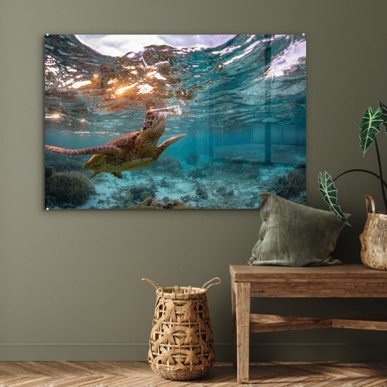 Peintures sur verre - Mer - Tortue - Couleurs - 120x80 cm - Peintures Plexiglas