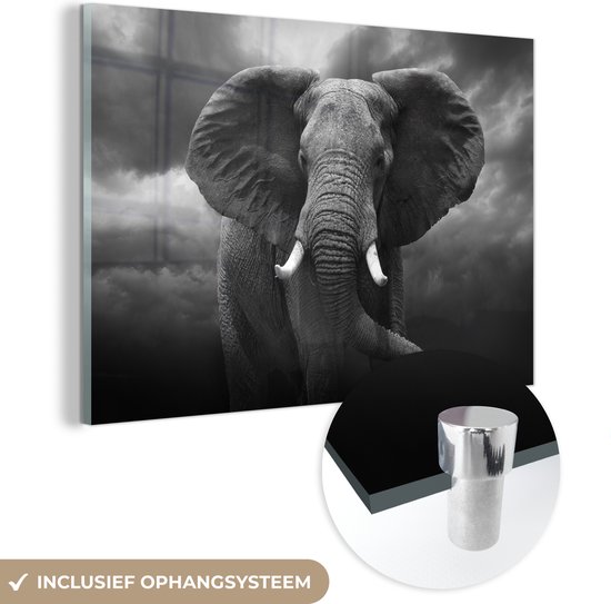 Glasschilderij olifant - Wilde dieren - Zwart wit - Schilderijen woonkamer - Foto op glas - Glasplaat - Kamer decoratie - Wanddecoratie - 30x20 cm - Slaapkamer - Schilderij glas - Muurdecoratie