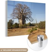 MuchoWow® Glasschilderij 60x40 cm - Schilderij acrylglas - Fantastische Boababboom in het Nationaal park Lower Zambezi - Foto op glas - Schilderijen