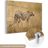MuchoWow® Glasschilderij 60x40 cm - Schilderij acrylglas - Luipaard - Camouflage - Gras - Foto op glas - Schilderijen