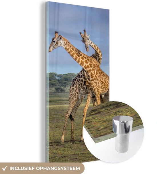 MuchoWow® Glasschilderij 40x80 cm - Schilderij acrylglas - Giraffes - Dieren - Natuur - Foto op glas - Schilderijen