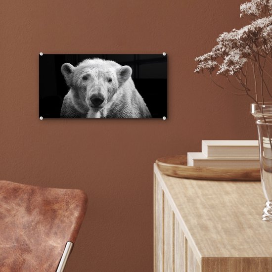 Peinture sur Verre - Ours Polaire - Animal - Zwart - Wit - 40x20 cm - Peintures sur Verre Peintures - Photo sur Glas