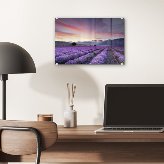 Coucher de soleil sur les lavandes Plexiglas 30x20 cm - petit - Tirage photo sur Glas (décoration murale en plexiglas)