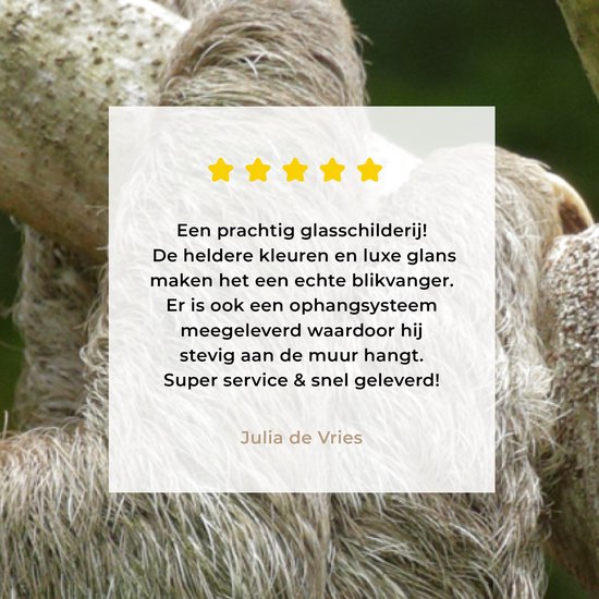 MuchoWow® Peinture sur verre - Un paresseux accroché à une branche - 160x80 cm - Peintures sur verre acrylique - Photo sur Glas