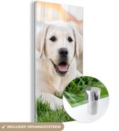 MuchoWow® Glasschilderij 80x160 cm - Schilderij acrylglas - Witte Labrador Retriever die in het gras ligt - Foto op glas - Schilderijen