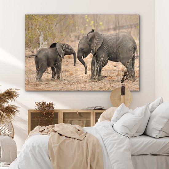 MuchoWow® Peinture sur verre - Deux jeunes éléphants - 150x100 cm - Peintures sur verre acrylique - Photo sur Glas