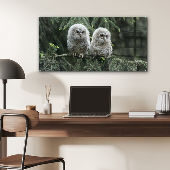 MuchoWow® Peinture sur verre 80x40 cm - Peinture sur verre acrylique - Deux hiboux - Photo sur verre - Peintures