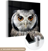 MuchoWow® Glasschilderij 50x50 cm - Schilderij acrylglas - Close-up uil - Foto op glas - Schilderijen