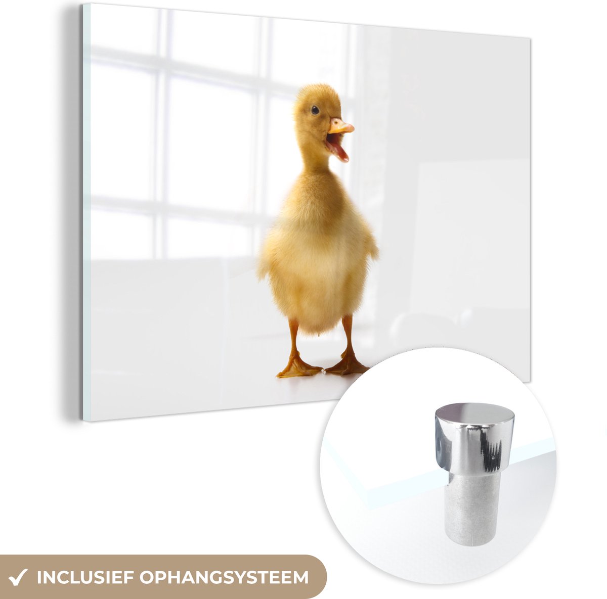 ® Glasschilderij 120x80 cm - Schilderij acrylglas - Baby eend die aan het communiceren is - Foto op glas - Muurdecoratie woonkamer - Wanddecoratie slaapkamer - Schilderijen