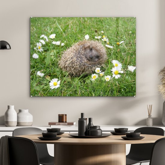 MuchoWow® Peinture sur verre - Hérisson endormi - 80x60 cm - Peintures sur verre acrylique - Photo sur Glas