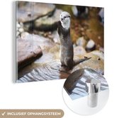 MuchoWow® Peinture sur verre 180x120 cm - Peinture sur verre acrylique - Loutre debout - Photo sur verre - Peintures