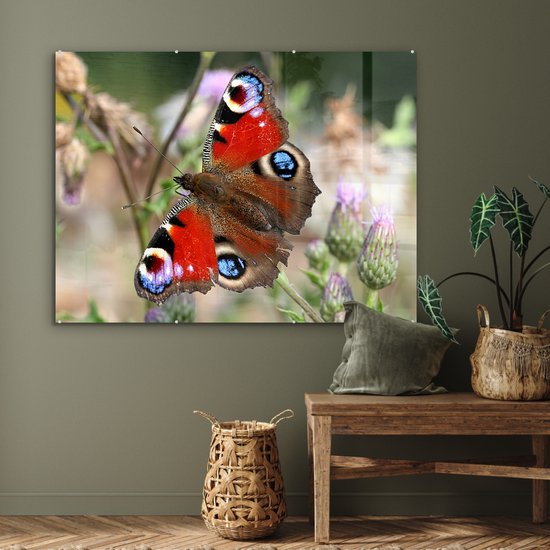 Peinture sur Verre - Papillon Paon - 120x90 cm - Peintures sur Verre Peintures - Photo sur Glas
