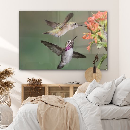 MuchoWow® Glasschilderij 150x100 cm - Schilderij acrylglas - Kolibrie - Vogels - Bloem - Foto op glas - Schilderijen