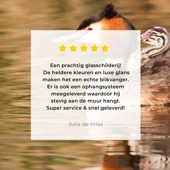 Peinture sur verre - Grèbe nage dans l'eau avec ses petits - 60x40 cm - Peintures sur Verre Peintures - Photo sur Glas