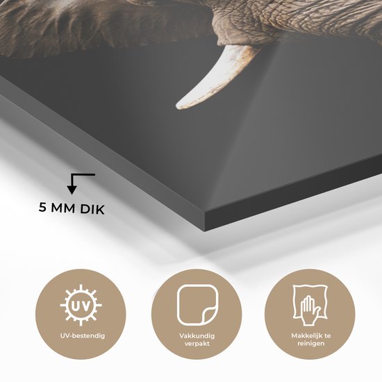 Peintures Plexiglas - Éléphant - Zwart - Animaux - 60x90 cm - Peintures sur verre