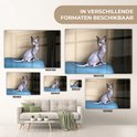 Product afbeelding  9