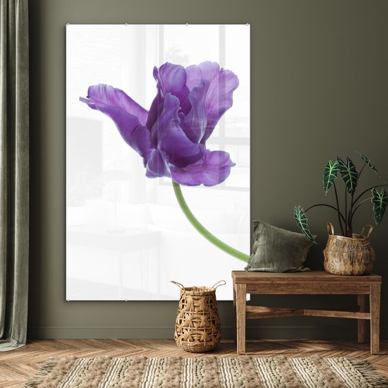 MuchoWow® Peinture sur verre 100x150 cm - Peinture sur verre acrylique - tulp violette sur fond blanc - Photo sur verre - Peintures
