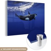 MuchoWow® Glasschilderij 120x80 cm - Schilderij acrylglas - Orka in helder water - Foto op glas - Schilderijen