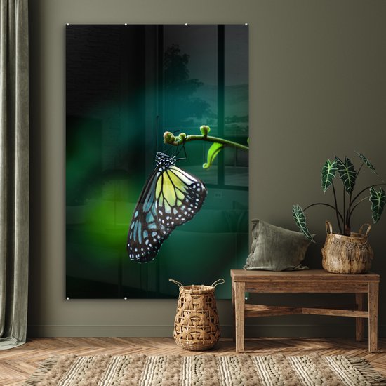MuchoWow® Peinture sur verre 120x180 cm - Peinture acrylique sur verre - Papillon sur une branche fine - Photo sur verre - Peintures