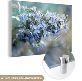 MuchoWow® Glasschilderij 90x60 cm - Schilderij acrylglas - Close-up bevroren hortensia - Foto op glas - Schilderijen