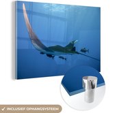 MuchoWow® Glasschilderij 150x100 cm - Schilderij acrylglas - Een zwemmende rog - Foto op glas - Schilderijen