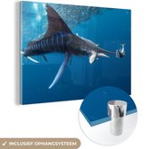 MuchoWow® Glasschilderij 60x40 cm - Schilderij acrylglas - Zwaardvis - Blauw - Water - Foto op glas - Schilderijen