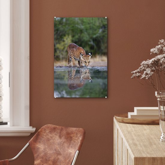 Peinture sur Verre - Lynx - Animal - Water - Buvant - 40x60 cm - Peintures sur Verre Peintures - Photo sur Glas
