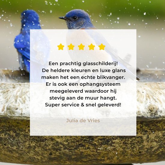 MuchoWow® Peinture sur verre 150x100 cm - Peinture sur verre acrylique - Vogel - Bain d'oiseaux - Water - Photo sur verre - Peintures