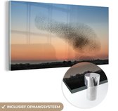 MuchoWow® Glasschilderij 40x20 cm - Schilderij acrylglas - Zwerm spreeuwen bij een kleurrijke zonsondergang - Foto op glas - Schilderijen
