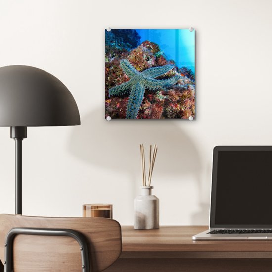 MuchoWow® Peinture sur verre 20x20 cm - Peinture sur verre acrylique - Étoile de mer - Corail - Animaux - Photo sur verre - Peintures
