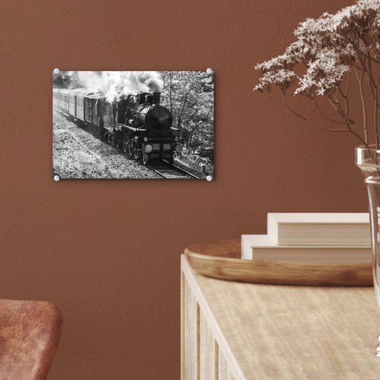 MuchoWow® Peinture sur verre 30x20 cm - Peinture sur verre acrylique - Photo Zwart et blanc d'un train à vapeur au milieu des prés - noir et blanc - Photo sur verre - Peintures