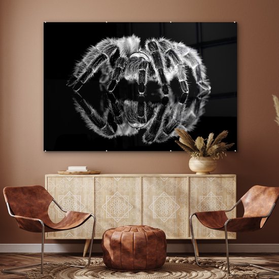 ® Glasschilderij 180x120 cm - Schilderij acrylglas - Studio shot van een tarantula - Foto op glas - Muurdecoratie woonkamer - Wanddecoratie slaapkamer - Schilderijen