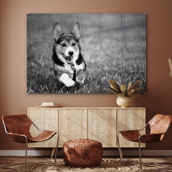 MuchoWow® Peinture sur verre 180x120 cm - Peinture sur verre acrylique - Chien qui court - noir et blanc - Photo sur verre - Peintures