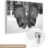 MuchoWow® Glasschilderij 30x20 cm - Schilderij acrylglas - Uil in de sneeuw met gespreide vleugels - zwart wit - Foto op glas - Schilderijen