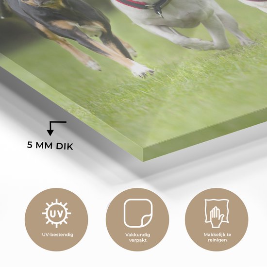 MuchoWow® Peinture sur verre 180x120 cm - Peinture sur verre acrylique - Un groupe de chiots courant à travers un champ - Photo sur verre - Peintures