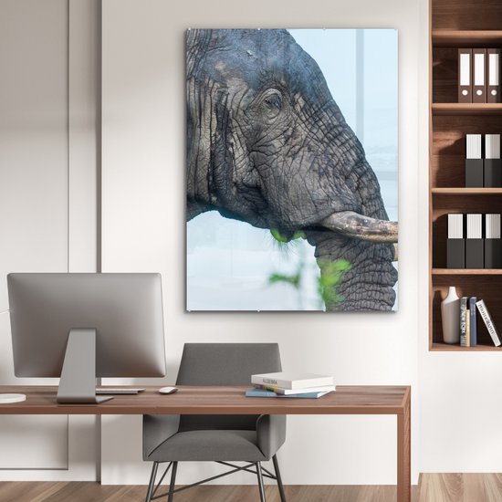 MuchoWow® Peinture sur verre 90x120 cm - Peinture sur verre acrylique - Éléphant - Animaux - Grijs - Nature - Photo sur verre - Peintures