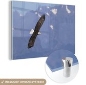MuchoWow® Glasschilderij 120x80 cm - Schilderij acrylglas - Amerikaanse zee arend - Adelaar - Vliegende - Vleugels - Vogels - Foto op glas - Schilderijen