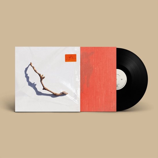 PJ Harvey - I Inside The Old Year Dying (LP)