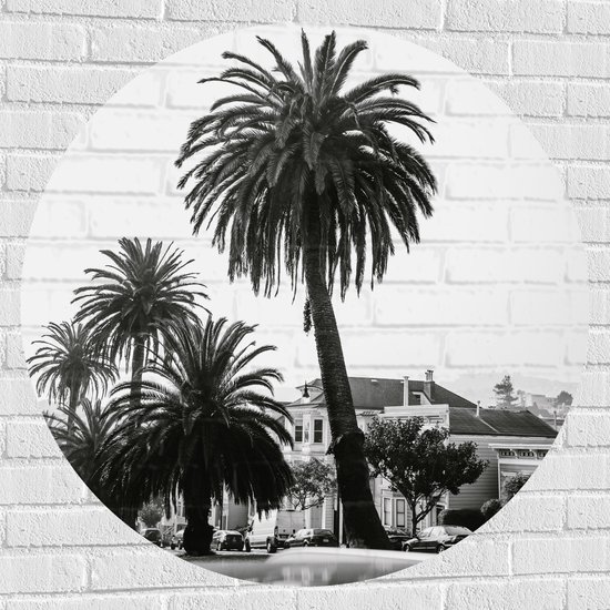 WallClassics - Muursticker Cirkel - Palmbomen in Amerikaanse Buurt (Zwart- wit) - 100x100 cm Foto op Muursticker