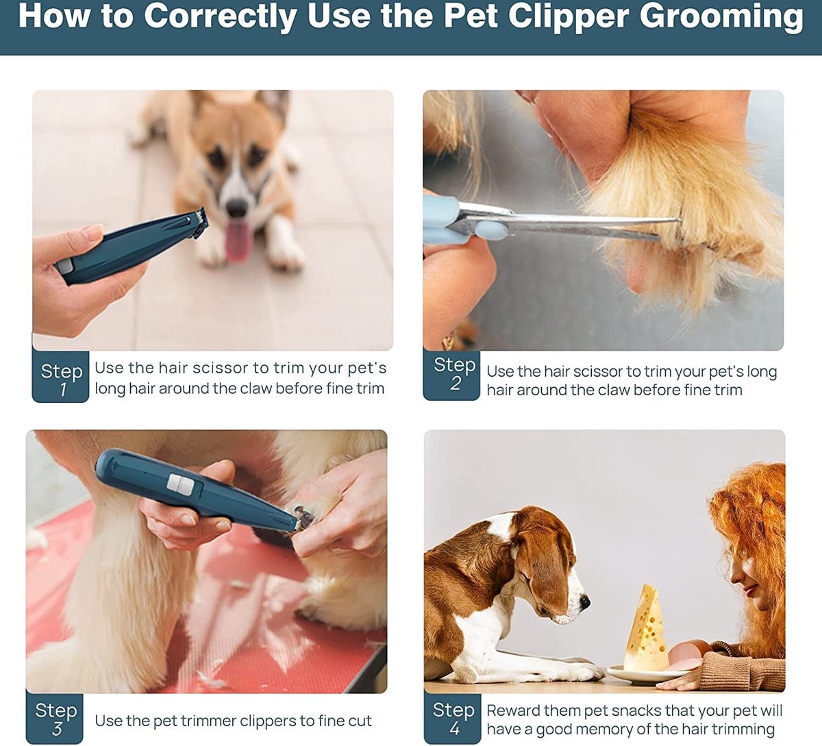 Tondeuse Pour Chien, Tondeuse à Cheveux électrique Professionnelle Pour