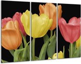 Peinture sur toile Tulipes | Jaune, orange, rouge | 120x80cm 3 Liège
