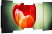 GroepArt - Canvas Schilderij - Tulp - Oranje, Rood, Groen - 150x80cm 5Luik- Groot Collectie Schilderijen Op Canvas En Wanddecoraties