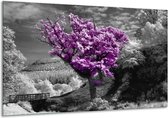 Peinture sur verre d'arbre | Gris, violet, blanc | 120x70cm 1Hatch | Tirage photo sur verre |  F002383